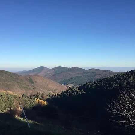 Le 招待所