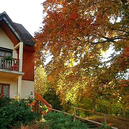 Le 2* Luttenbach-près-Munster