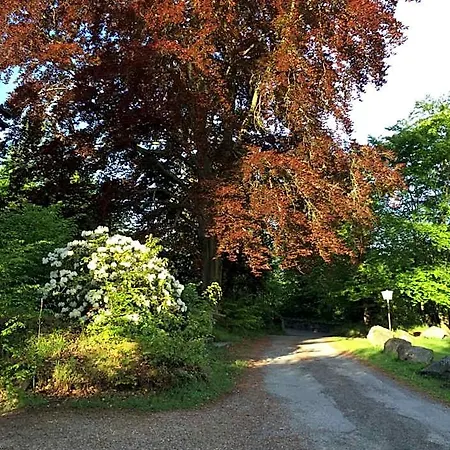 Gæstehus Le Luttenbach-près-Munster