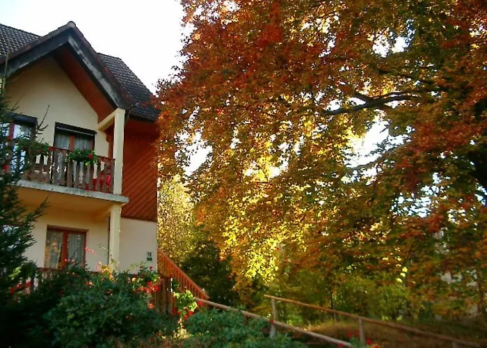 Le Pensjonat Luttenbach-près-Munster